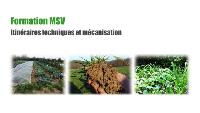 Formation MSV Itinéraires techniques et mécanisation Jour 2 Introduction