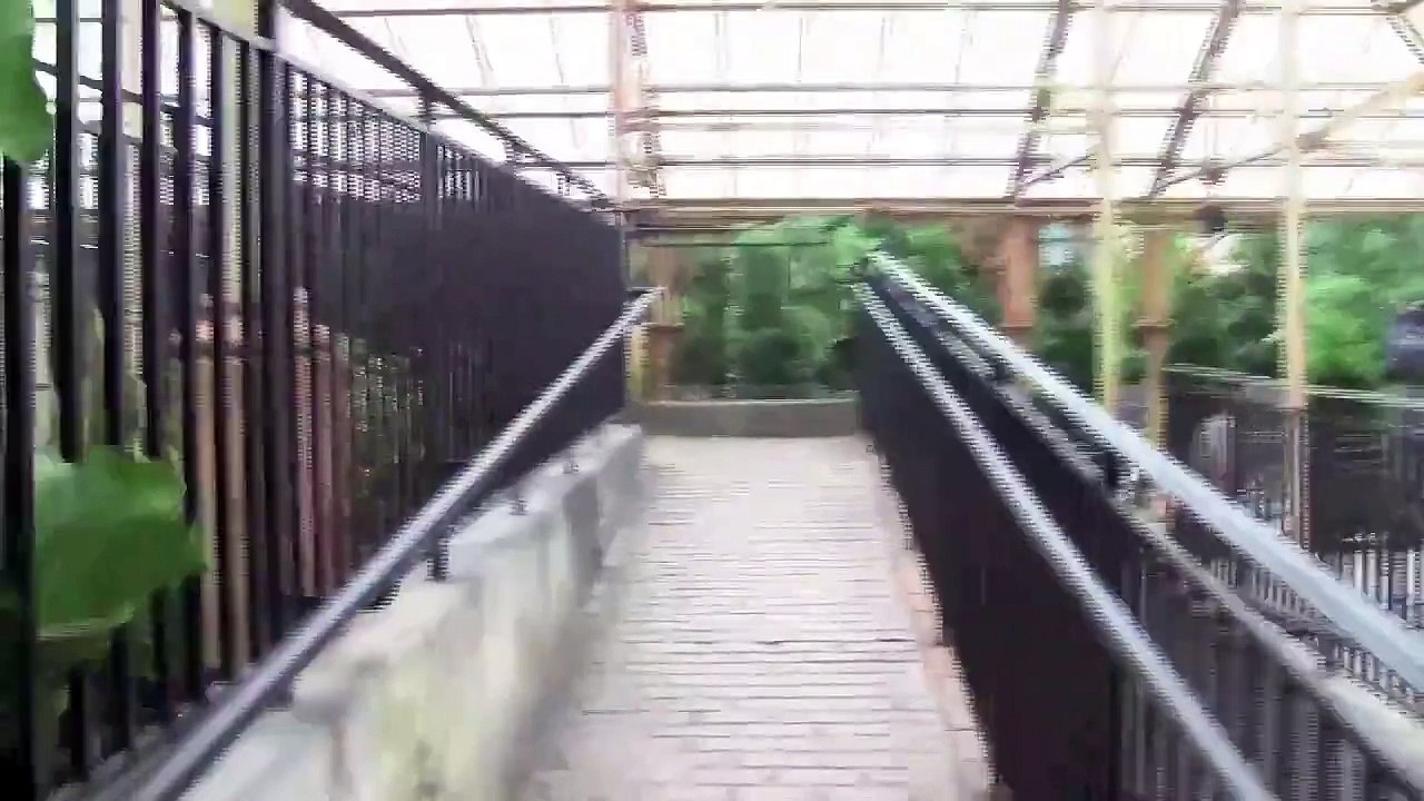 Harry Potter Park: Harry Potter Ride