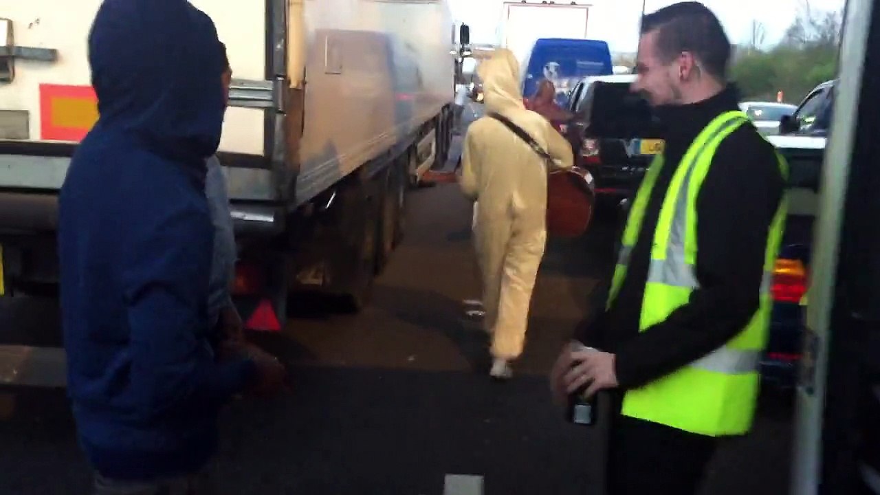 Sheep Spotted on M6 Traffic Jam by Wolverhampton