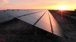 World's Largest Solar-Panel Power Plant Opens in Arizona