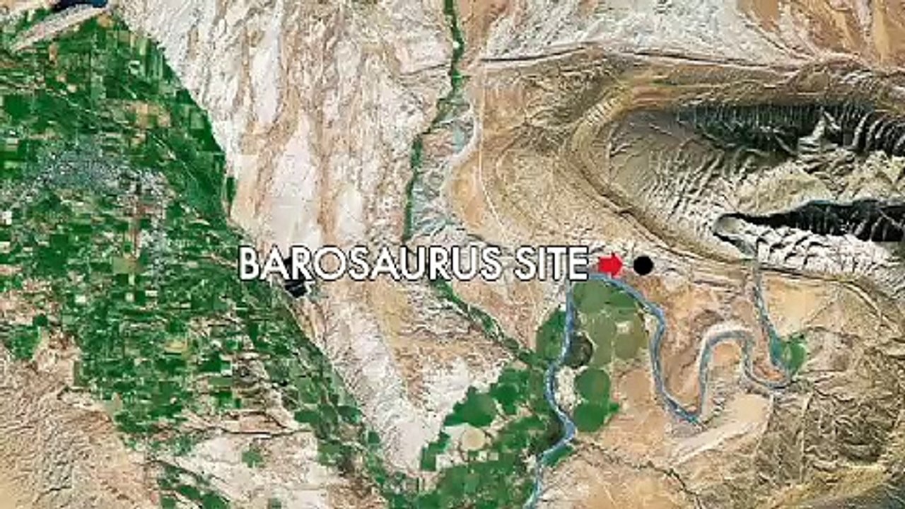 Iconic: Barosaurus