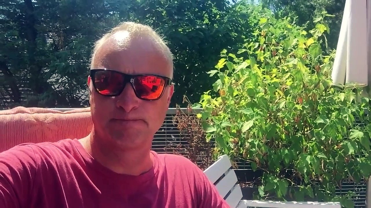 Buschis Bundesliga Prognose: Meine Tipps zum 1. Spieltag der Saison 15/16!