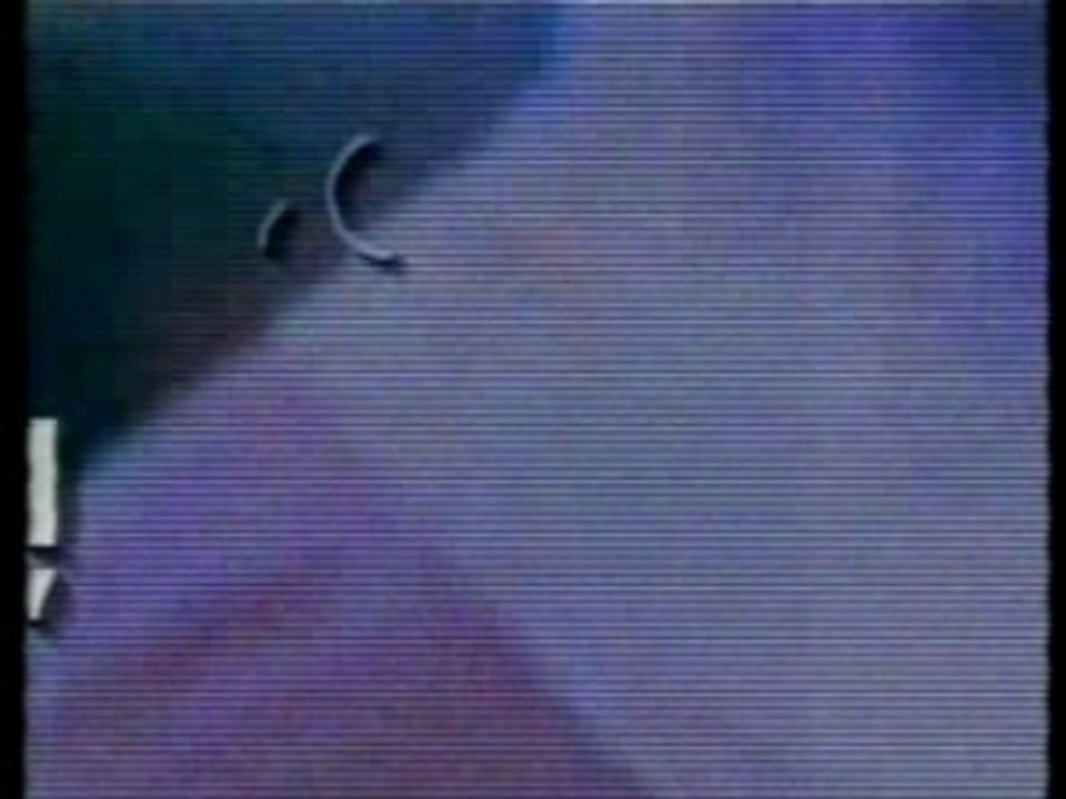 Cortinillas Canal Olímpic