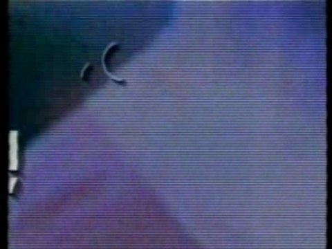 Cortinillas Canal Olímpic