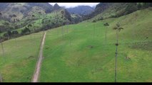 Vallée de Cocora