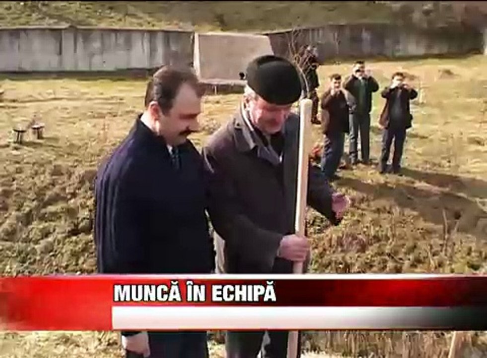 Munca in echipa