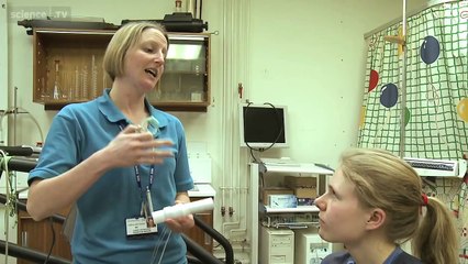 Lung Capacity - The Human Body - A User's Guide