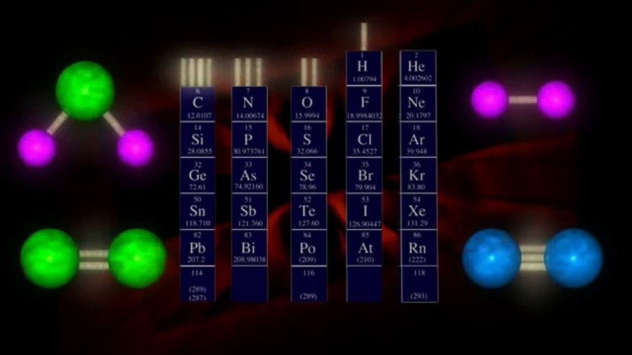 Ce sunt carbohidraţii?