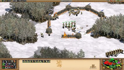 Age of Empires 2 HD Low fps/Micro Stutter Can anyone fix this?