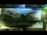Discovery Channel Prehistoric Predators of the Past 1of3 What Killed the Mega Beasts part1