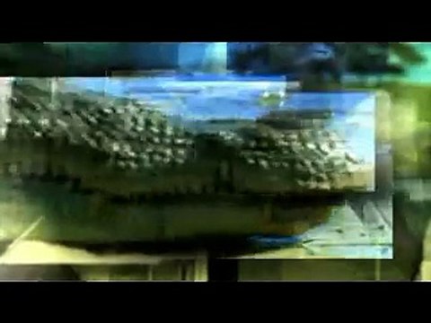 Discovery Channel Prehistoric Predators of the Past 1of3 What Killed the Mega Beasts part1