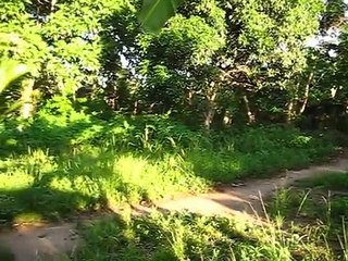 Sagana Farm Nubians - Beautiful Morning