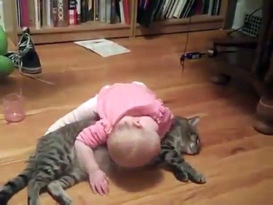 funny baby and cat