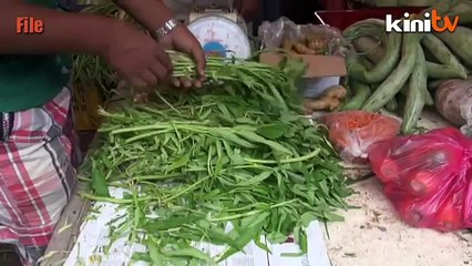 PERKASA kena sindir sebagai 'pembela kangkung'