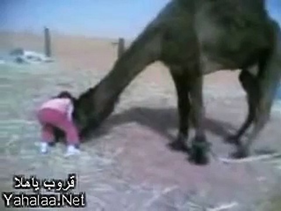 بنت البدو