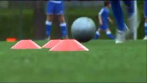 2-Guida Tecnica Settore Giovanile e Scolastico della FIGC