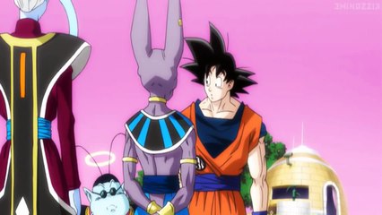 SSJ3 Goku vs Lord Beerus (English Dub)