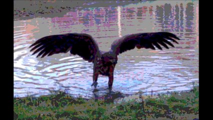 Olaf Maske mit "Fliegenpilz" - Unser Land - 1982