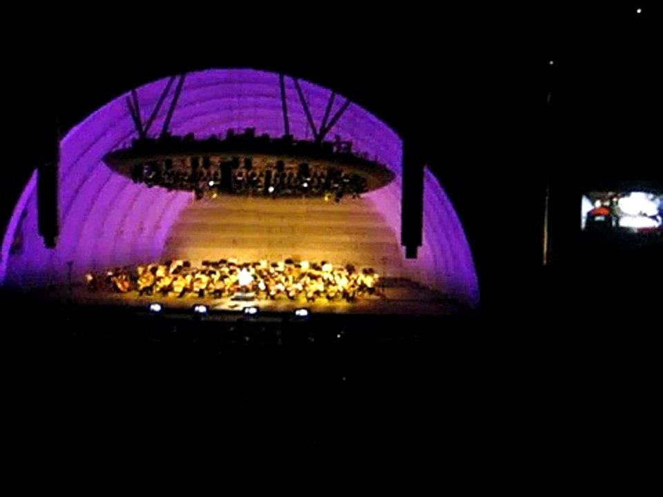 John Williams - Harry Potter (Live)