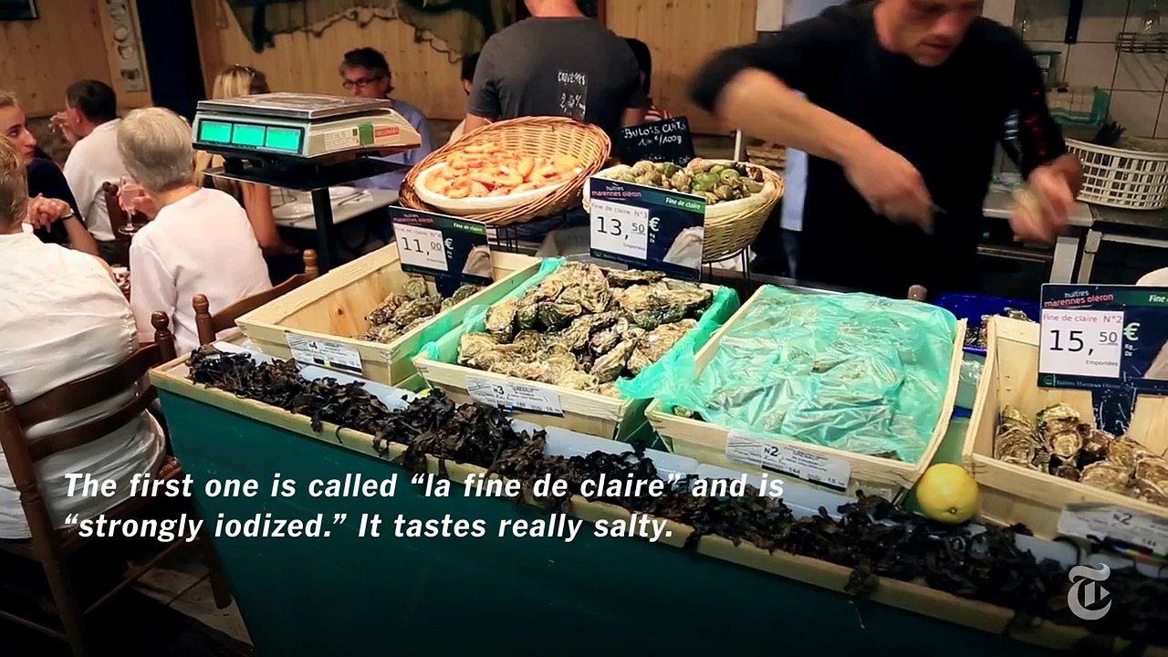 What to Do in Provence, France | 36 Hours Travel Videos | The New York Times