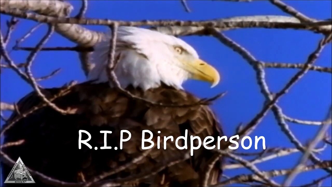rip birdperson