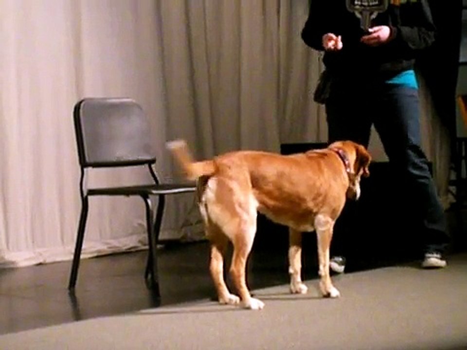 dog girl & kisses