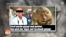 #Cecil, der Löwe | ARD Morgenmagazin | DAS ERSTE