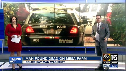 Man found dead on Mesa farm
