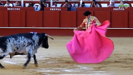 IX Certamen Internacional E. T. "La Malagueta"