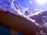 ＜サメ－Shark229－＞ホオジロザメ10