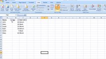 Excel Filters: Creating and Using Filters in Excel 2007