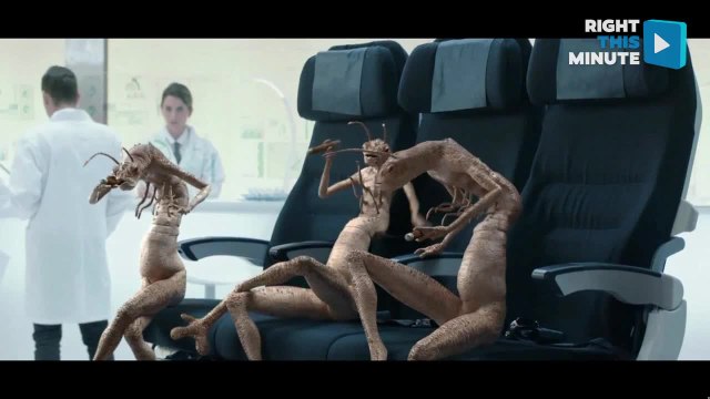 Here Come the Men in Black - the Air New Zealand Defenders