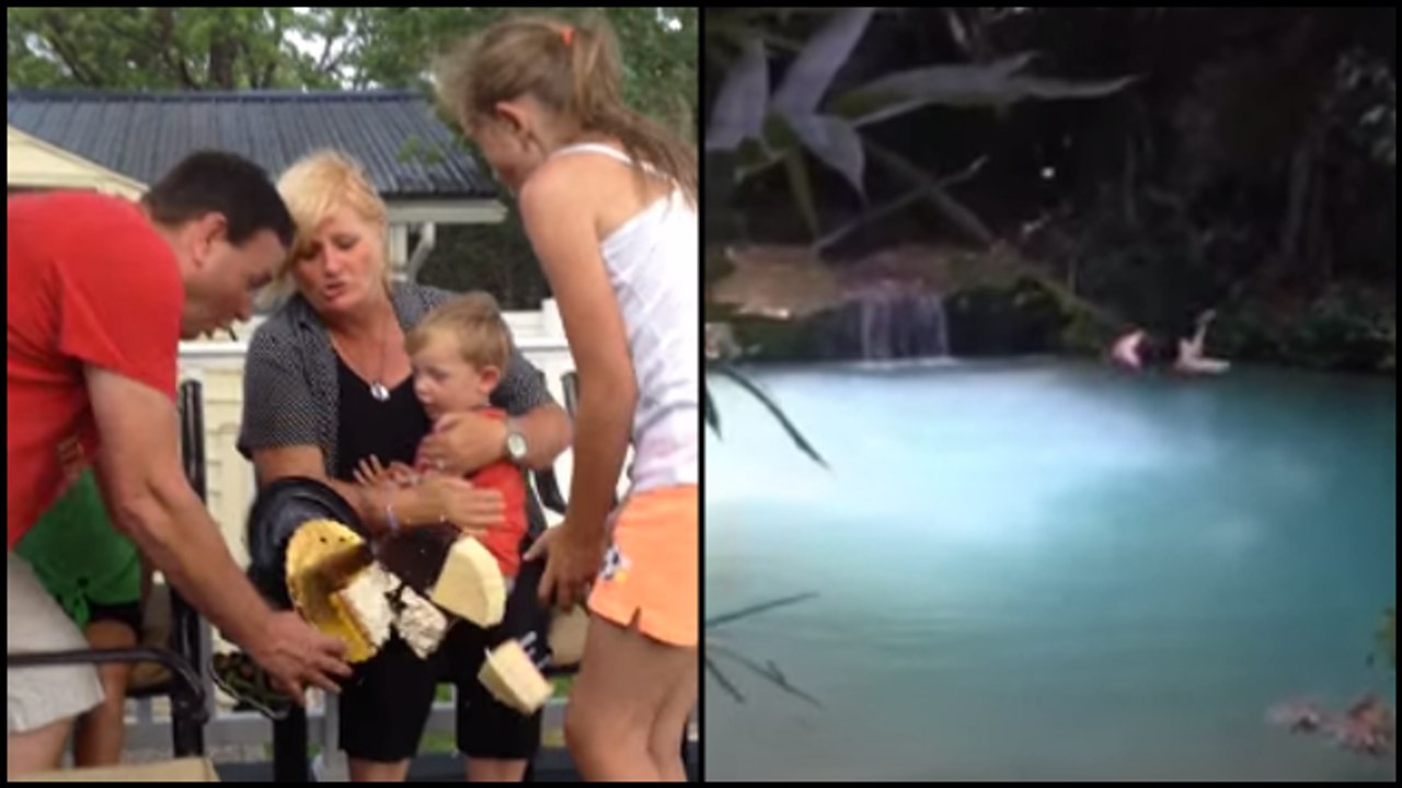 These Videos Are a Cake Dive