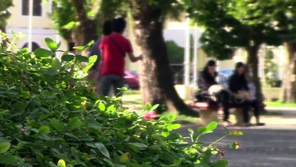 Proposing to Strangers - Pinoy Public Pranks