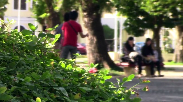 Proposing to Strangers - Pinoy Public Pranks