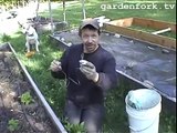 Grow Tomatoes How-To & Start Tomatoes Early : GardenFork.TV