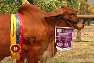 16 de mayo de 2015 Hacienda El Cucharo