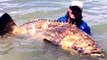 Kayaker Catches Monster 552-Pound Fish, Breaks Rod