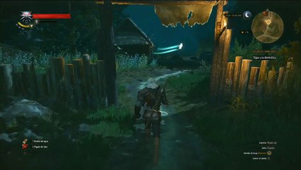 The witcher Wild hunt, parte 16, El pescador me dice donde esta Anna