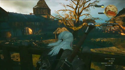 The witcher Wild hunt, parte 17, La carrera de Ciri