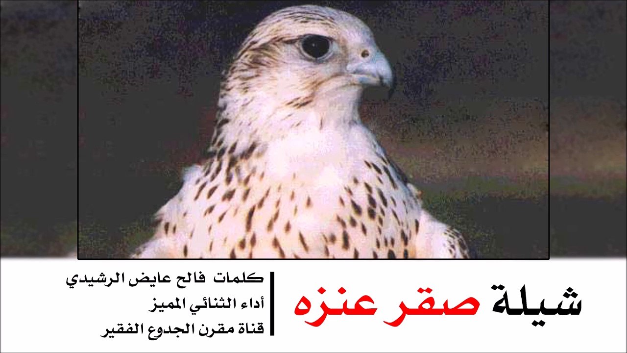 شيلة : صقر عنزه - كلمات فالح عايض الرشيدي أداء الثنائي المميز | شيلات عنزه 2015