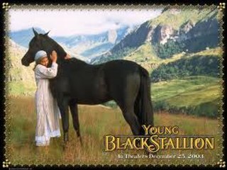 The Young Black Stallion (2003) Full Movie Streaming