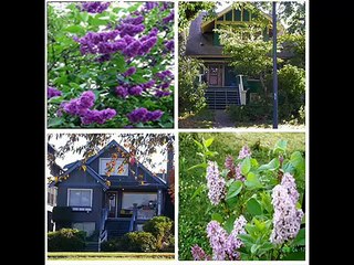 casetta in canada mercato casa mercatocasa.com