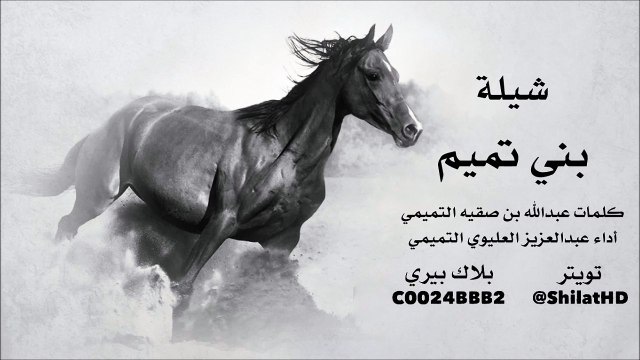 شيلة : بني تميم - ‏كلمات عبدالله بن صقيه ‏أداء ‏عبدالعزيز العليوي | أصلي + مسرع | شيلات 2015