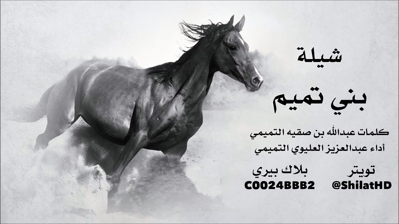 شيلة : بني تميم - ‏كلمات عبدالله بن صقيه ‏أداء ‏عبدالعزيز العليوي | أصلي + مسرع | شيلات 2015