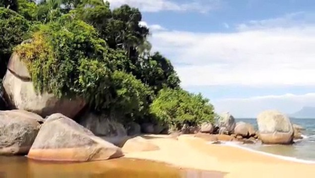 Reflexión: Las Huellas