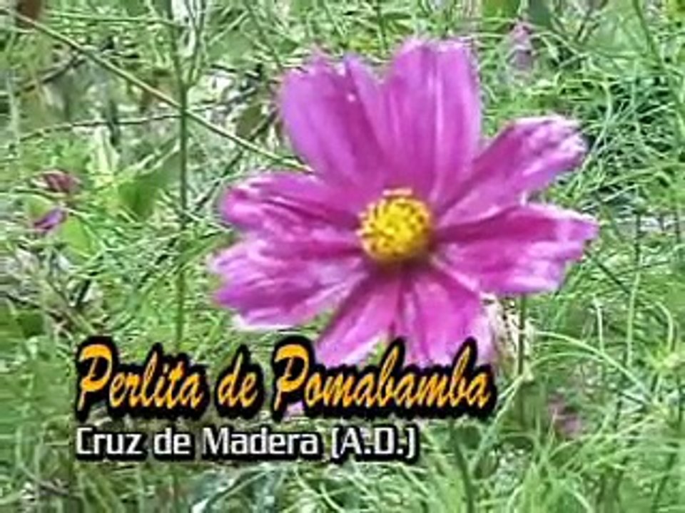 Cruz de madera