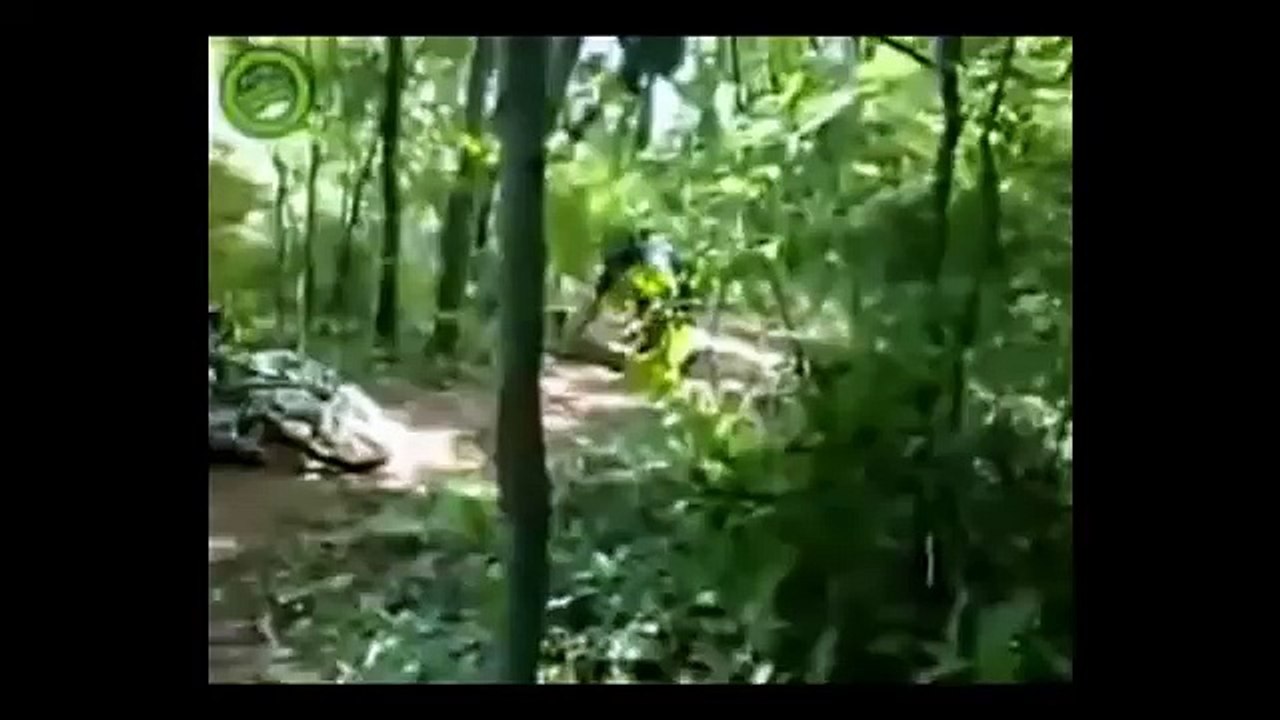 Die witzigsten Pannen und Unfälle der Welt [Folge 15]