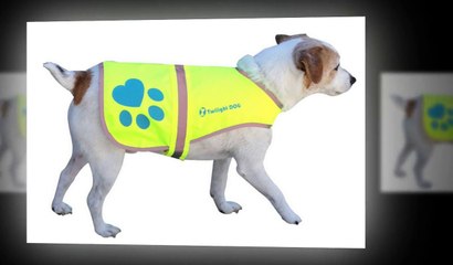 The Twilight reflective Dog Vest