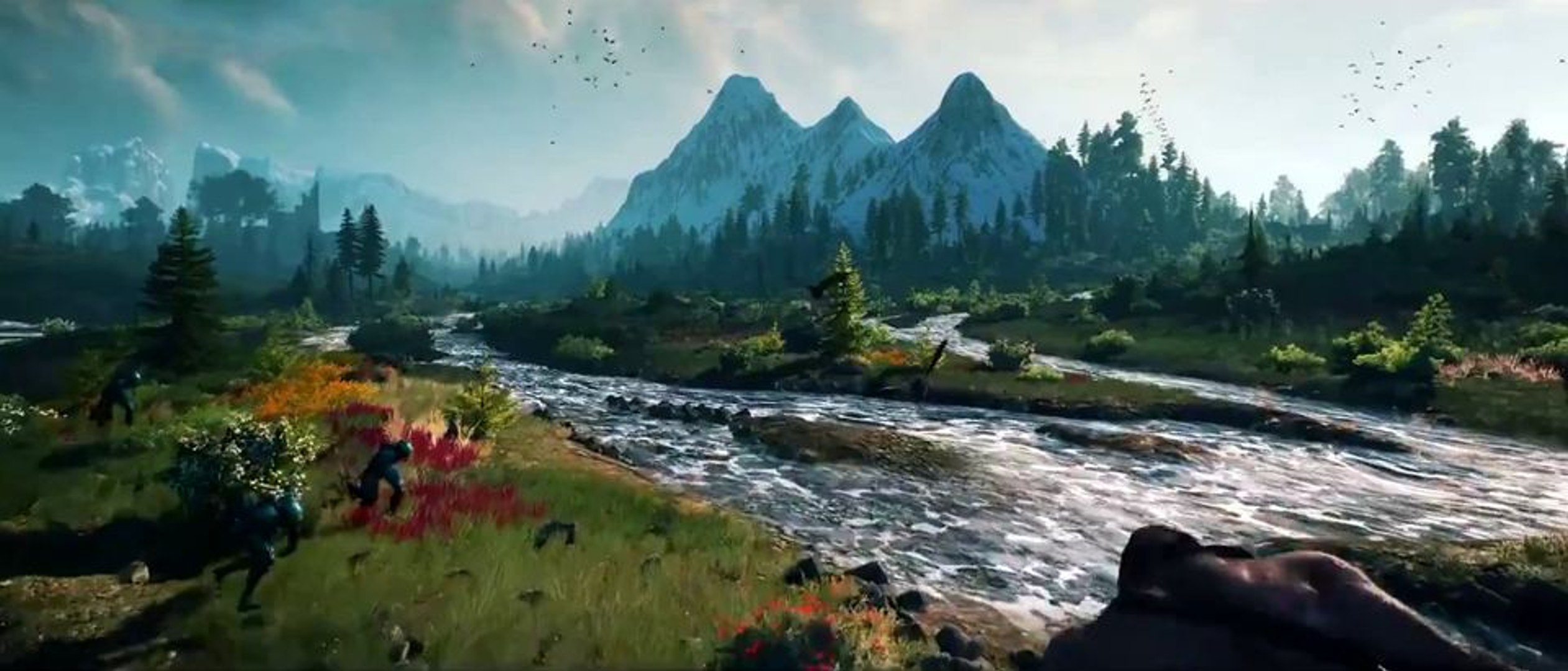 The Witcher Environment